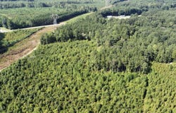 Richardson Road, Warrenton, NC 27589
