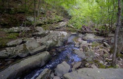 Brimer Lane, Higden, AR 72067