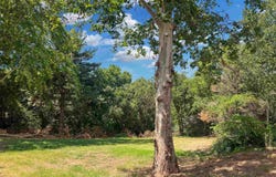 1814 Locust, Alva, OK 73717