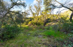 1 Ridgeview Circle, Sutter Creek, CA 95685