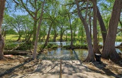 730 E Mather Street, New Braunfels, TX 78130