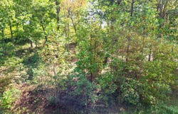 Mt Clouds Tr lot: 31, Duff, TN 37729