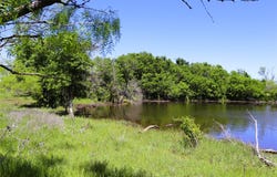 40 Acres Sears Mayfield Rd, Henrietta, TX 76365