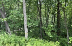 Route 30, Winhall, VT 05340