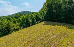 Hwy 68, Tellico Plains, TN 37385