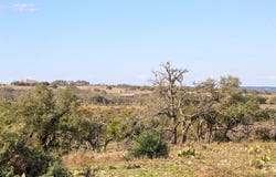 963 Josephine Rd, Harper, TX 78631
