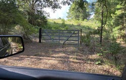 County Road 394, Tatum, TX 75691