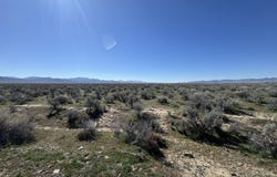 Filippini Ranch Road, Battle Mountain, NV 89820