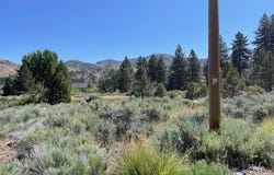 556 Longhorn Drive, Loyalton, CA 96118