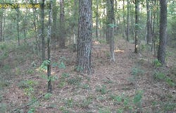 5849 FM 357, Kennard, TX 75847