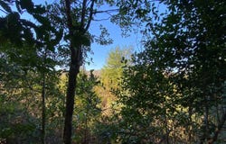 1 Highway 219, Pinetucky, AL 35042