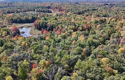 V/L N Bear Track, White Cloud, MI 49349