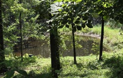 5217 Burnt Rigde Road, Shirley, AR 72153