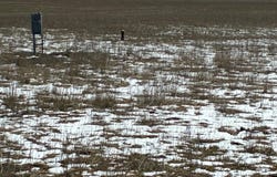 Pickney Rd, Rye, CO 81069
