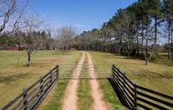 369 Bud Gary Road, Clayton, AL 36016