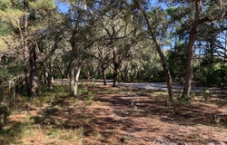 102 EDEN Avenue, Interlachen, FL 32148