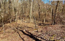 38 Sugar Tree, Sugar Mountain, NC 28604