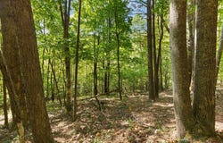 S LONG BRANCH Ln, Lexington, VA 24450