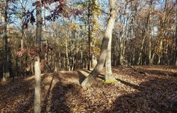 ACORN Lane, ROMNEY, WV 26757