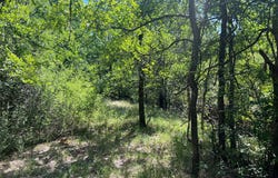 137 CR, Cisco, TX 76437