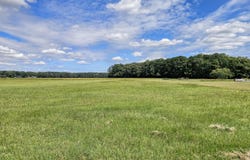 Winfield Lane lot: 24, Pinetown, NC 27865