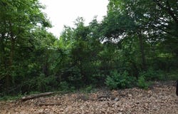 70331 E 360 RD lot: 0, Jay, OK 74346