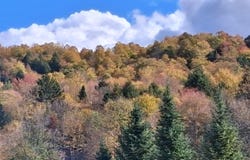 Oak Lane, Eden, VT 05652