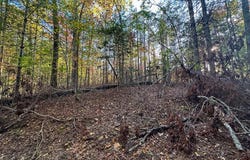 Dones Drive lot: 8, Murphy, NC 28906