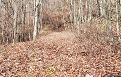 75 Rimrock Rdg, Clyde, NC 28721
