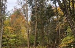 126 Devany Road, Ferndale, NY 12734