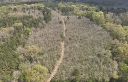 3194 James Road, Hazlehurst, MS 39083
