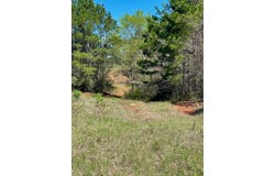 540 CR 2830, Wells, TX 76055