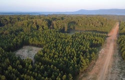 Tract 2B Avalon Lake Lane, Mena, AR 71953