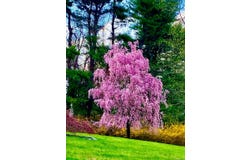 30 Harkin Road, Carmel, NY 10512