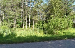 5486 Knights Way, Gladwin, MI 48624