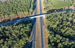 Wellborn, FL 32094