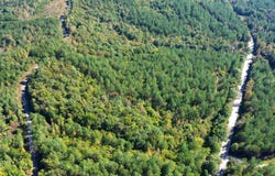 US Route 27, Sunbright, TN 37872