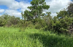 County Road 7, Bagley, MN 56621