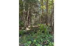 Hayscent Dr, Becket, MA 01223