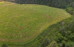 American Ridge Rd (Parcel 6), Kendrick, ID 83537