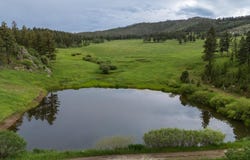 14884 Rist Canyon Rd, Bellvue, CO 80512