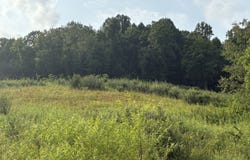 800 Wizardism Run Rd, Salem, WV 26426