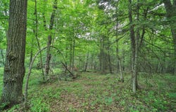 Garden Ln, McGregor, MN 55760