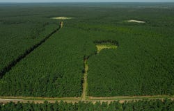 1150 FM 1751, San Augustine, TX 75972