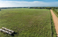 0 Nelius Rd, BELLVILLE, TX 77418