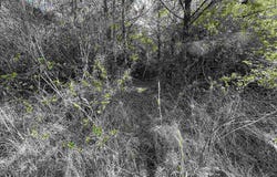 15 AC Snider Rd, Frisco City, AL 36445