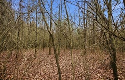 Bell Road, Belton, SC 29627