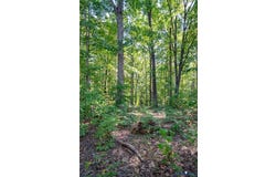 Mountain Hall Road, Crewe, VA 23930