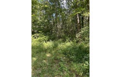 3250 W Isabella Road, Shepherd, MI 48883