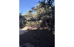 1415 Nemesia Place NE, Albuquerque, NM 87112